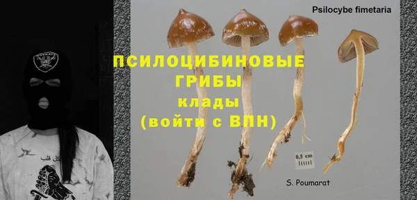 дмт Баксан