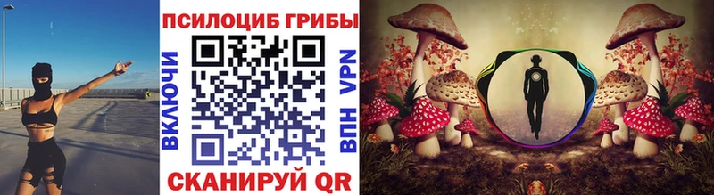 Псилоцибиновые грибы Psilocybine cubensis  Кодинск 